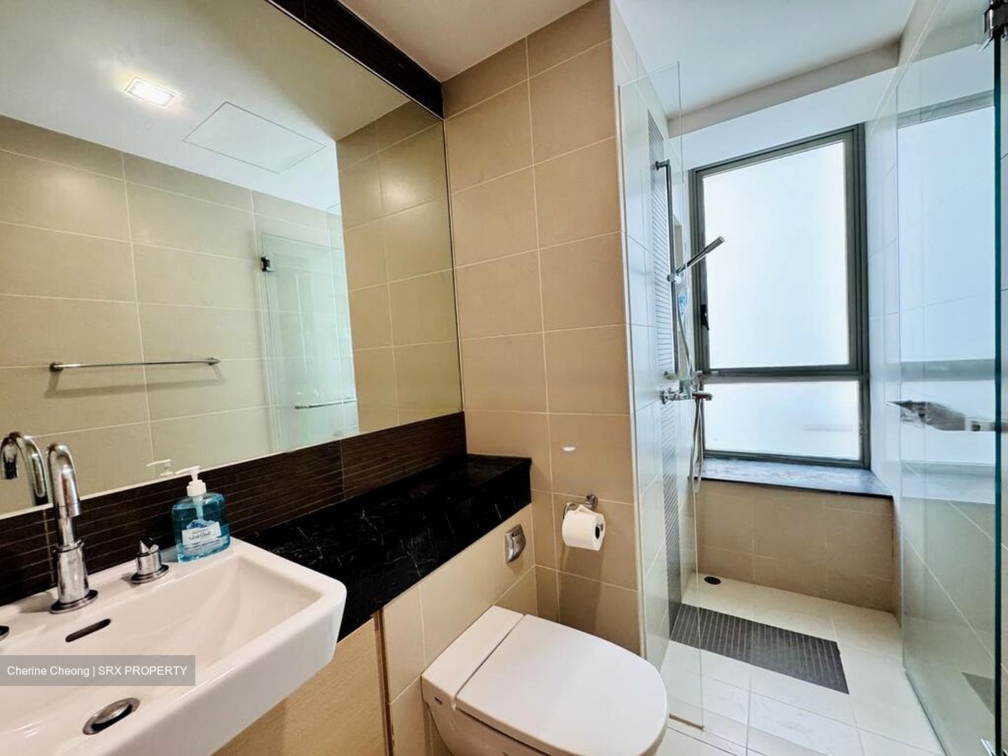 The Berth By The Cove (D4), Condominium #480323811